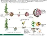 File:180px-5.21 page-0001.webp