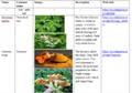 Thumbnail for version as of 14:41, 15 April 2026
