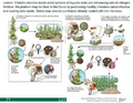 Thumbnail for version as of 15:18, 15 April 2026
