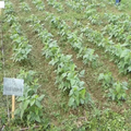 Thumbnail for version as of 14:42, 15 April 2026