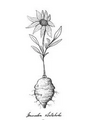 Thumbnail for version as of 15:17, 15 April 2026
