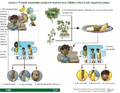 Thumbnail for version as of 14:43, 15 April 2026