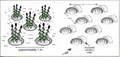 Thumbnail for version as of 14:43, 15 April 2026