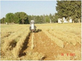 Thumbnail for version as of 12:09, 12 July 2026