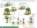 Thumbnail for version as of 14:40, 15 April 2026