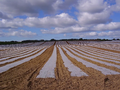 Thumbnail for version as of 14:39, 15 April 2026