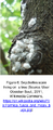Thumbnail for version as of 10:22, 11 July 2026