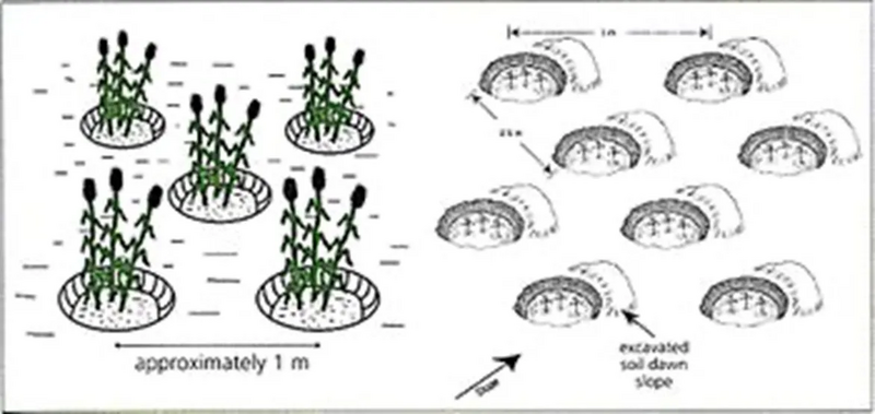 File:Page 10.webp