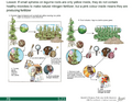 Thumbnail for version as of 14:38, 15 April 2026
