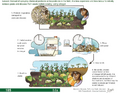Thumbnail for version as of 14:38, 15 April 2026