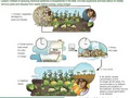 Thumbnail for version as of 15:18, 15 April 2026