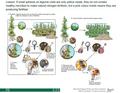 Thumbnail for version as of 14:42, 15 April 2026