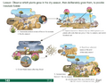 Thumbnail for version as of 14:40, 15 April 2026
