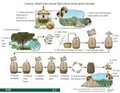 Thumbnail for version as of 14:42, 15 April 2026
