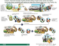 Thumbnail for version as of 14:42, 15 April 2026