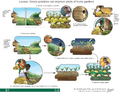 Thumbnail for version as of 14:40, 15 April 2026