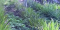 Thumbnail for version as of 09:38, 11 July 2026