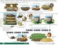 Thumbnail for version as of 21:01, 10 April 2026