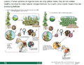 Thumbnail for version as of 14:42, 15 April 2026