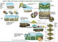 Thumbnail for version as of 15:17, 15 April 2026