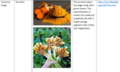 Thumbnail for version as of 21:04, 10 April 2026