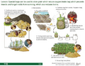 Thumbnail for version as of 14:38, 15 April 2026
