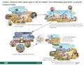 Thumbnail for version as of 21:02, 10 April 2026