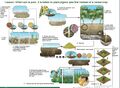 Thumbnail for version as of 21:05, 10 April 2026