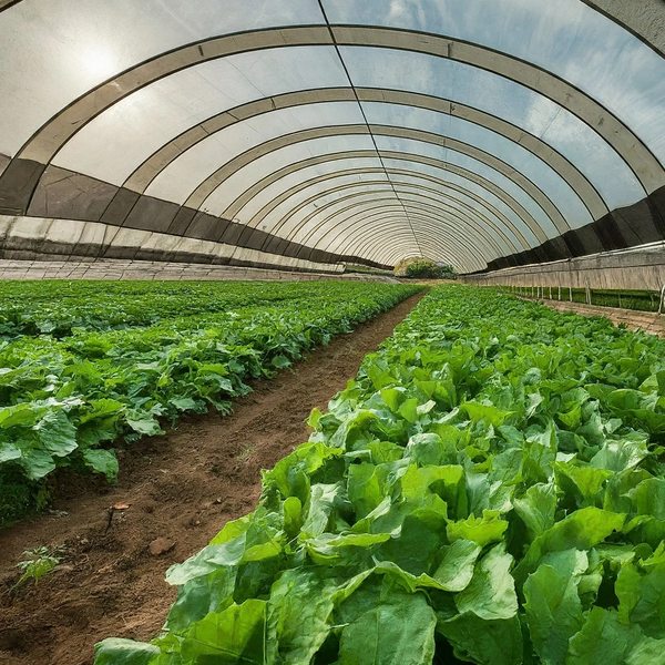 File:20260410180612!2.10 farm.webp