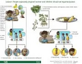 Thumbnail for version as of 14:38, 15 April 2026
