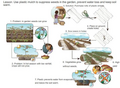 Thumbnail for version as of 15:18, 15 April 2026