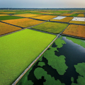Thumbnail for version as of 14:42, 15 April 2026