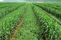 Thumbnail for version as of 21:04, 10 April 2026