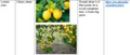 Thumbnail for version as of 14:38, 15 April 2026