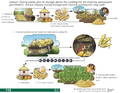 Thumbnail for version as of 14:41, 15 April 2026