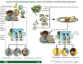 Thumbnail for version as of 14:38, 15 April 2026