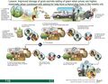 Thumbnail for version as of 21:04, 10 April 2026