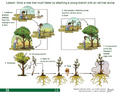 Thumbnail for version as of 14:41, 15 April 2026