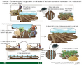 Thumbnail for version as of 14:41, 15 April 2026