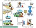 Thumbnail for version as of 21:05, 10 April 2026
