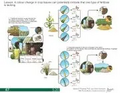 Thumbnail for version as of 14:39, 15 April 2026
