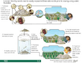 Thumbnail for version as of 14:40, 15 April 2026