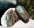 Thumbnail for version as of 11:36, 13 July 2026