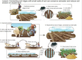 Thumbnail for version as of 15:17, 15 April 2026