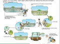 Thumbnail for version as of 15:17, 15 April 2026