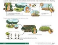 Thumbnail for version as of 14:38, 15 April 2026