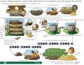 Thumbnail for version as of 21:04, 10 April 2026