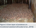 Thumbnail for version as of 12:03, 12 July 2026