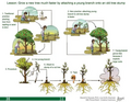 Thumbnail for version as of 14:38, 15 April 2026