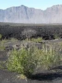 Thumbnail for version as of 14:39, 15 April 2026